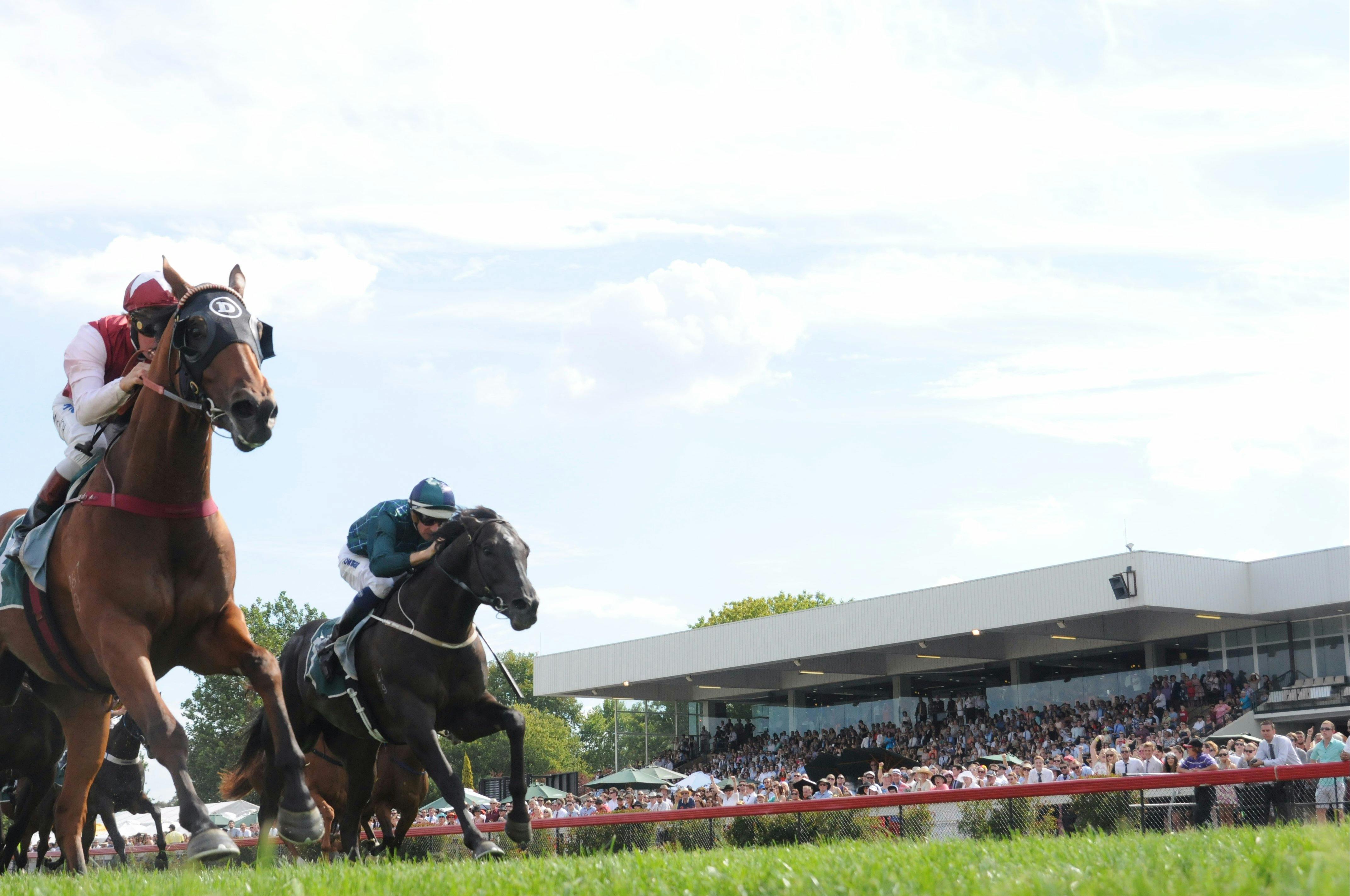 Horses on the track with crowded stands in the background