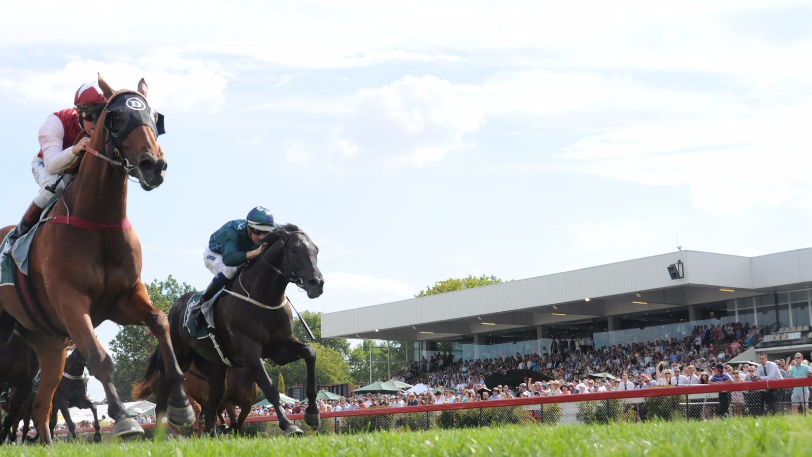 Thoroughbred Park