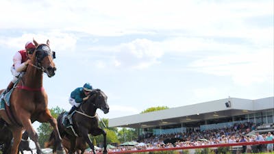 Horses on the track with crowded stands in the background