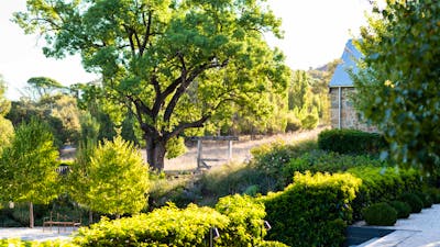 The Sir George Gardens