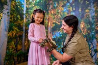 A young visitor interacting with a Darwin Carpet Python under the supervision of a wildlife keeper.