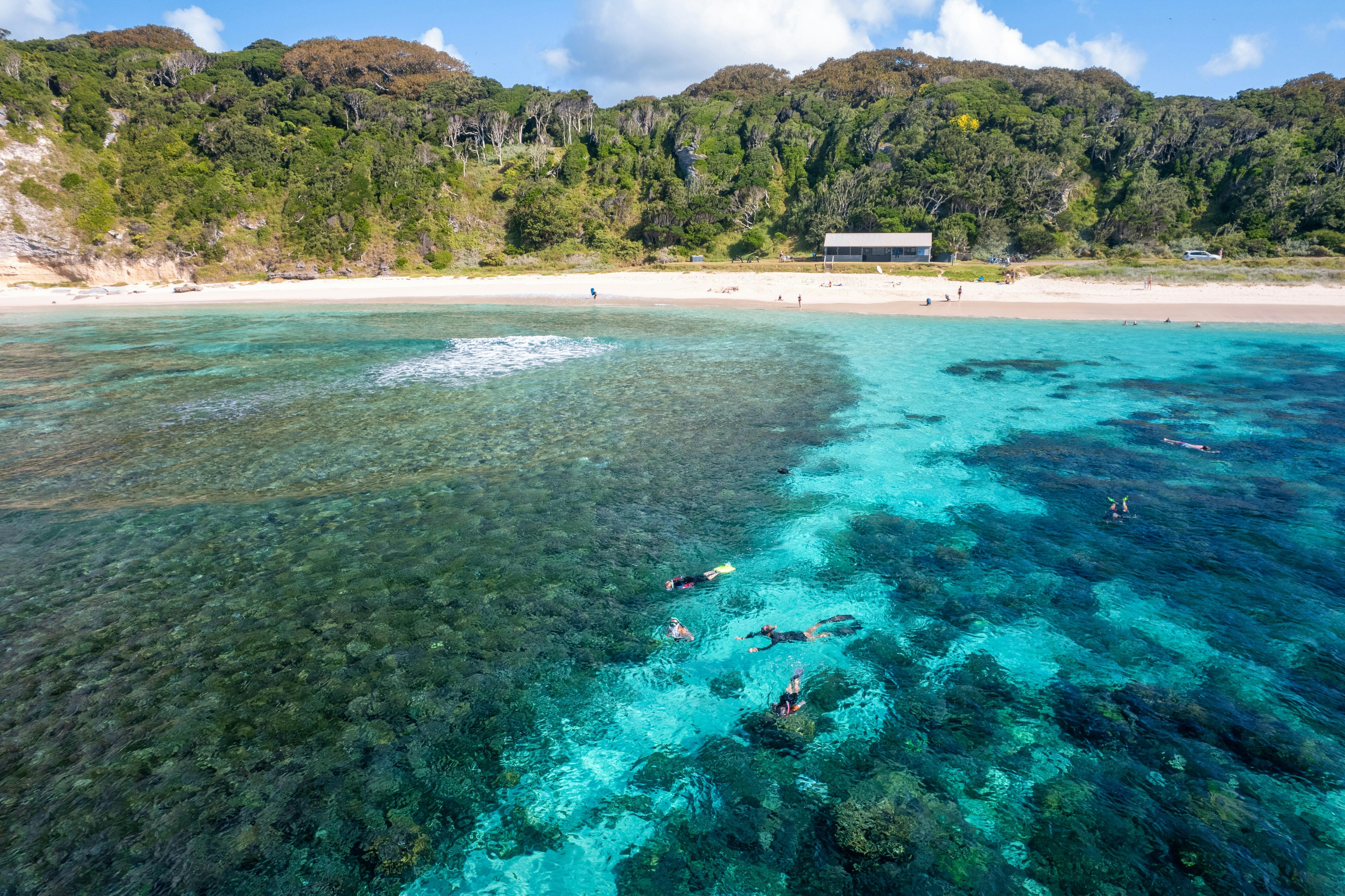 Neds Beach is the perfect snorkelling spot. Just walk in straight off the beach & submerge in bliss.