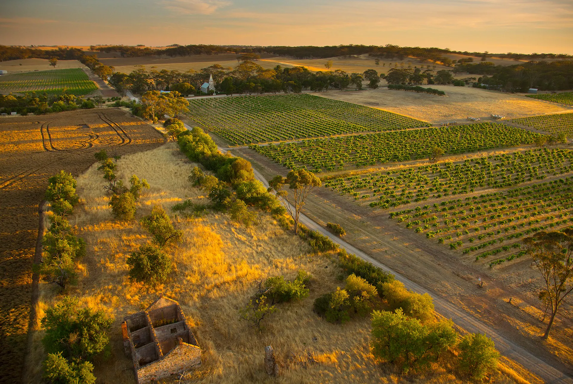 An aerial image of a vineyard