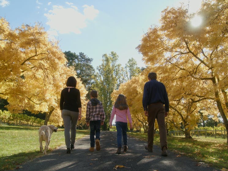 The Hoskins family at Brangayne of Orange Vineyard