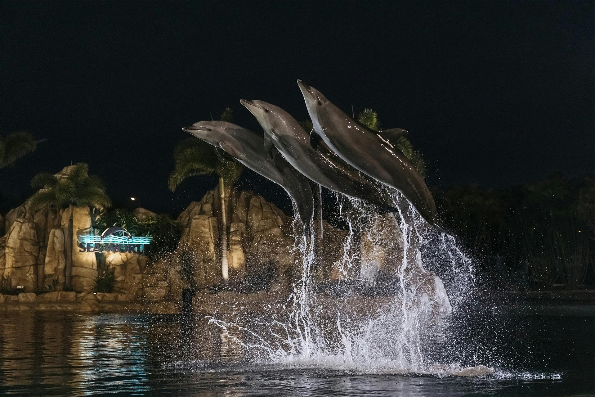 Spooky Nights @ Sea World