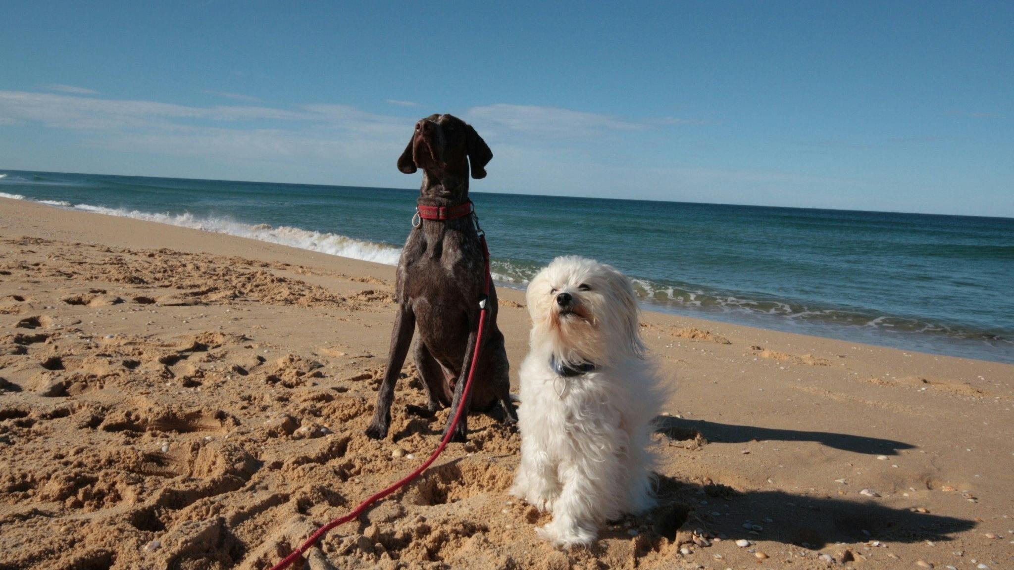 Beach holiday for all the family