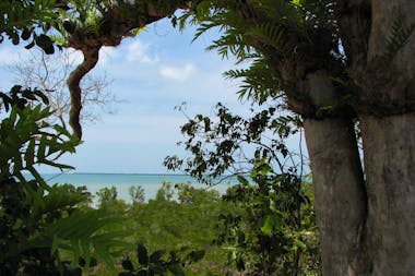 Channel Point Coastal Reserve