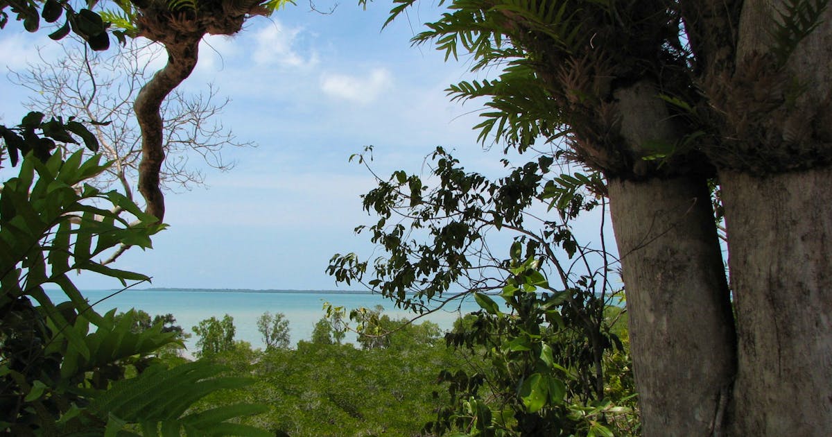 Channel Point Coastal Reserve | Things to do in Darwin and Surrounds