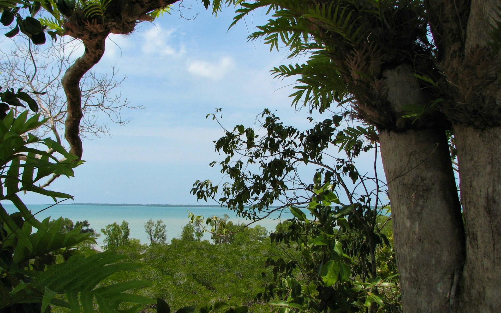 Channel Point Coastal Reserve | Things to do in