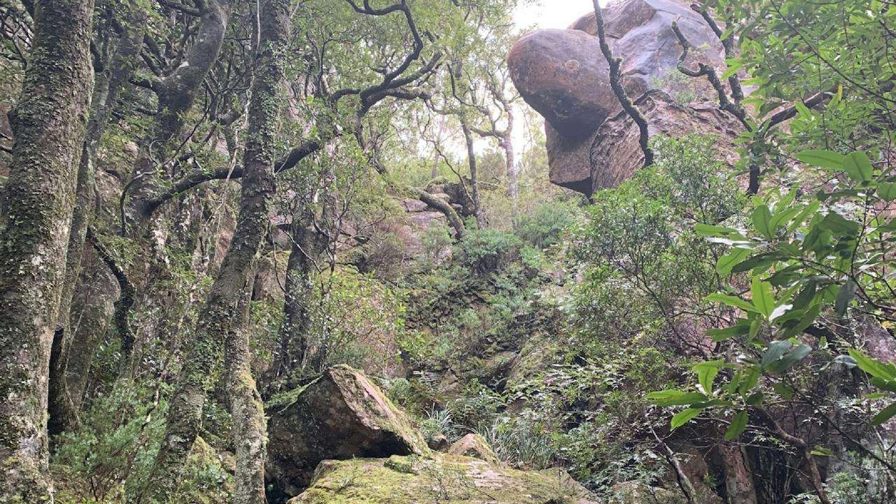 Hoddles Track Kiama
