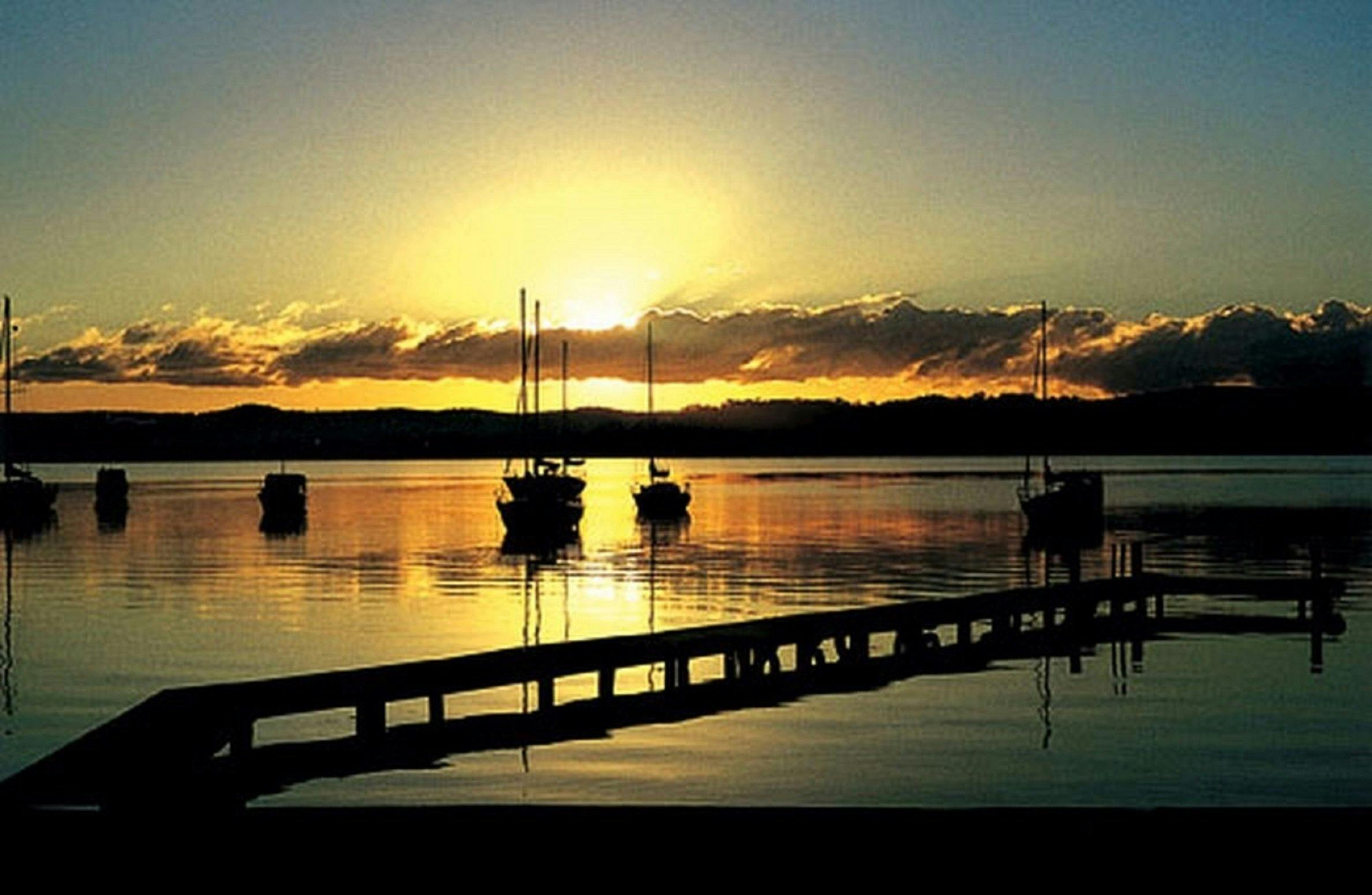 パラダイスパームスキャリーベイ