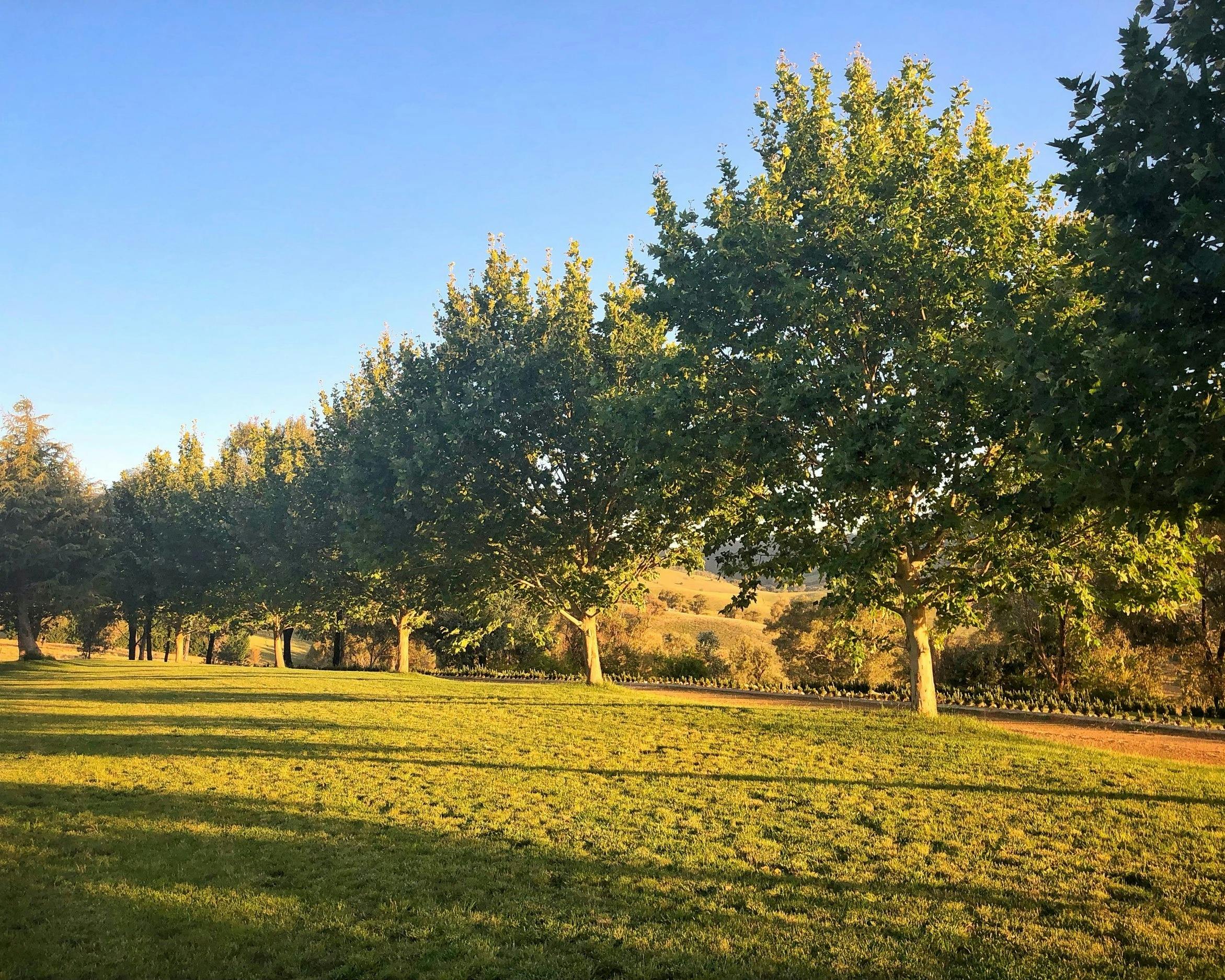 Annies Retreat Outdoor Event Centre