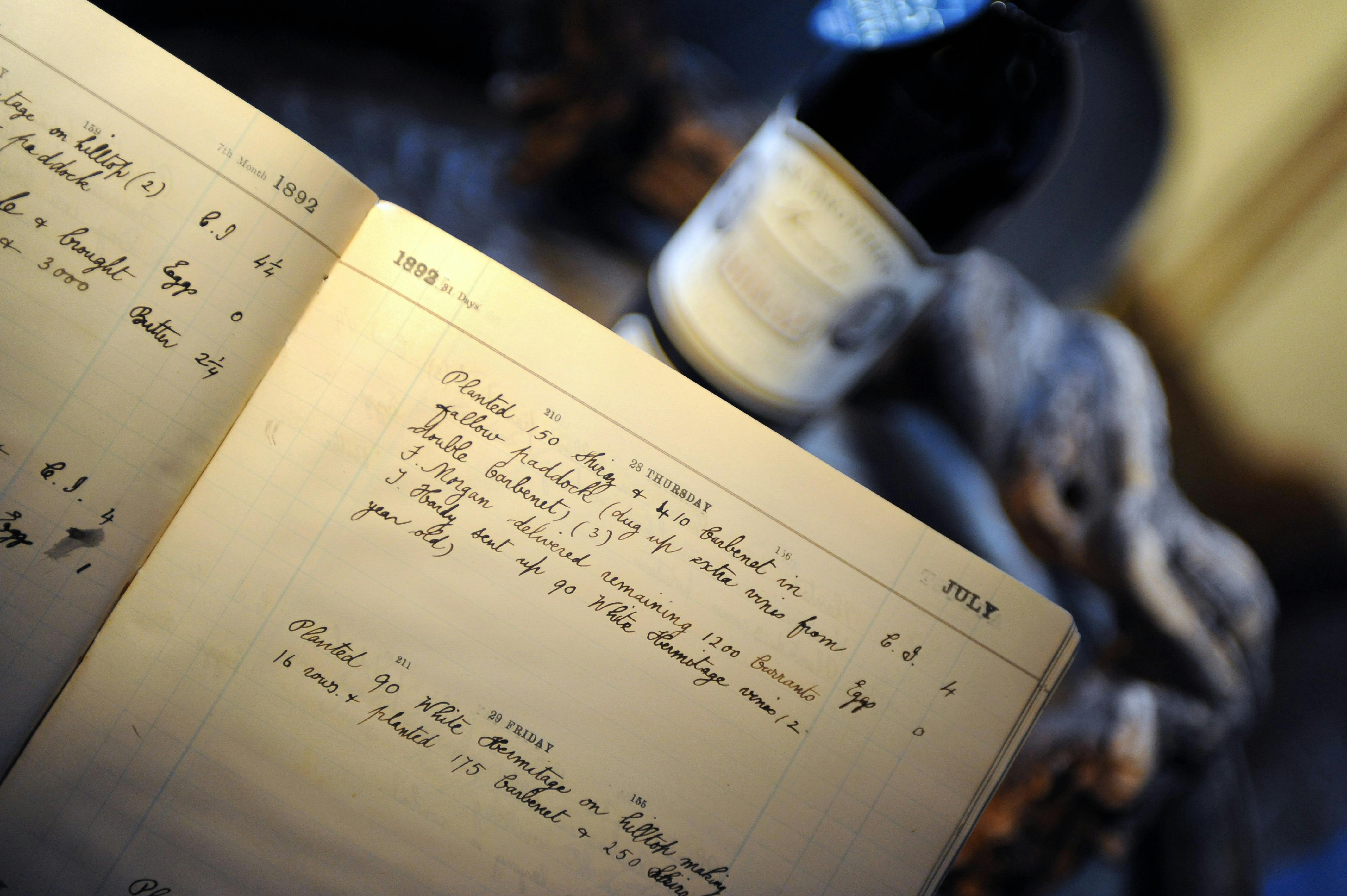 historical diary