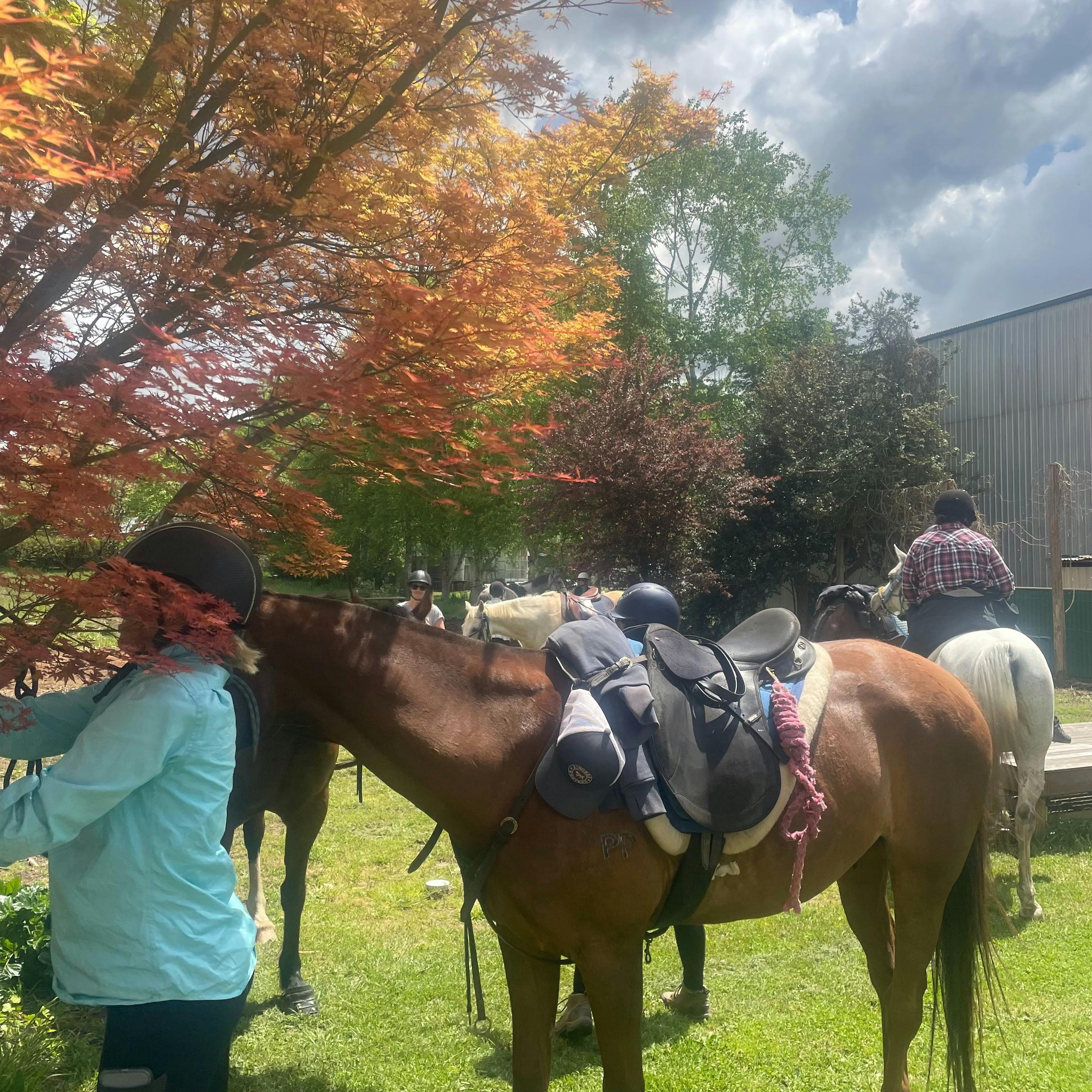 Stanley Pub, just horsing around