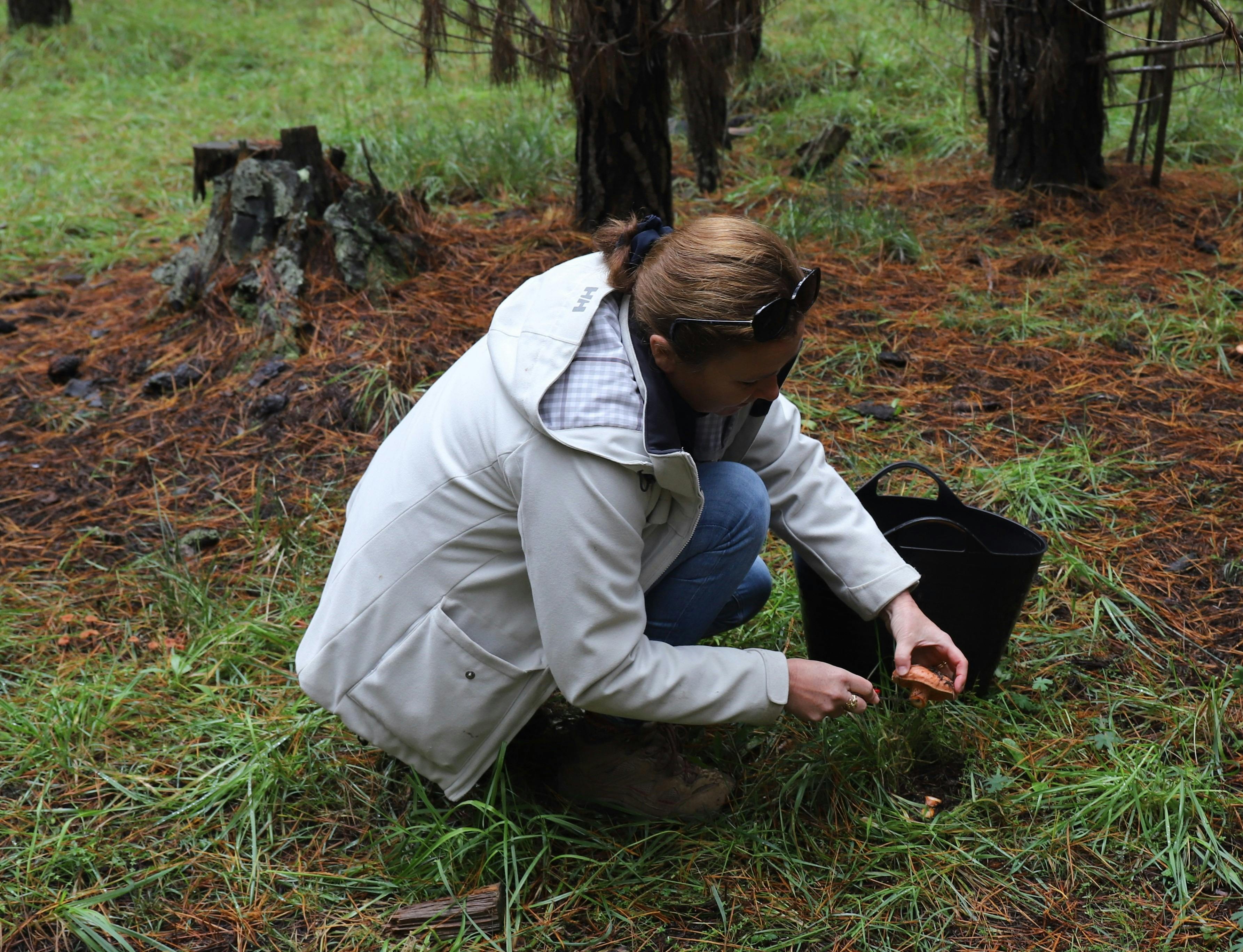 Easter Weekend Wild Mushroom Hunt