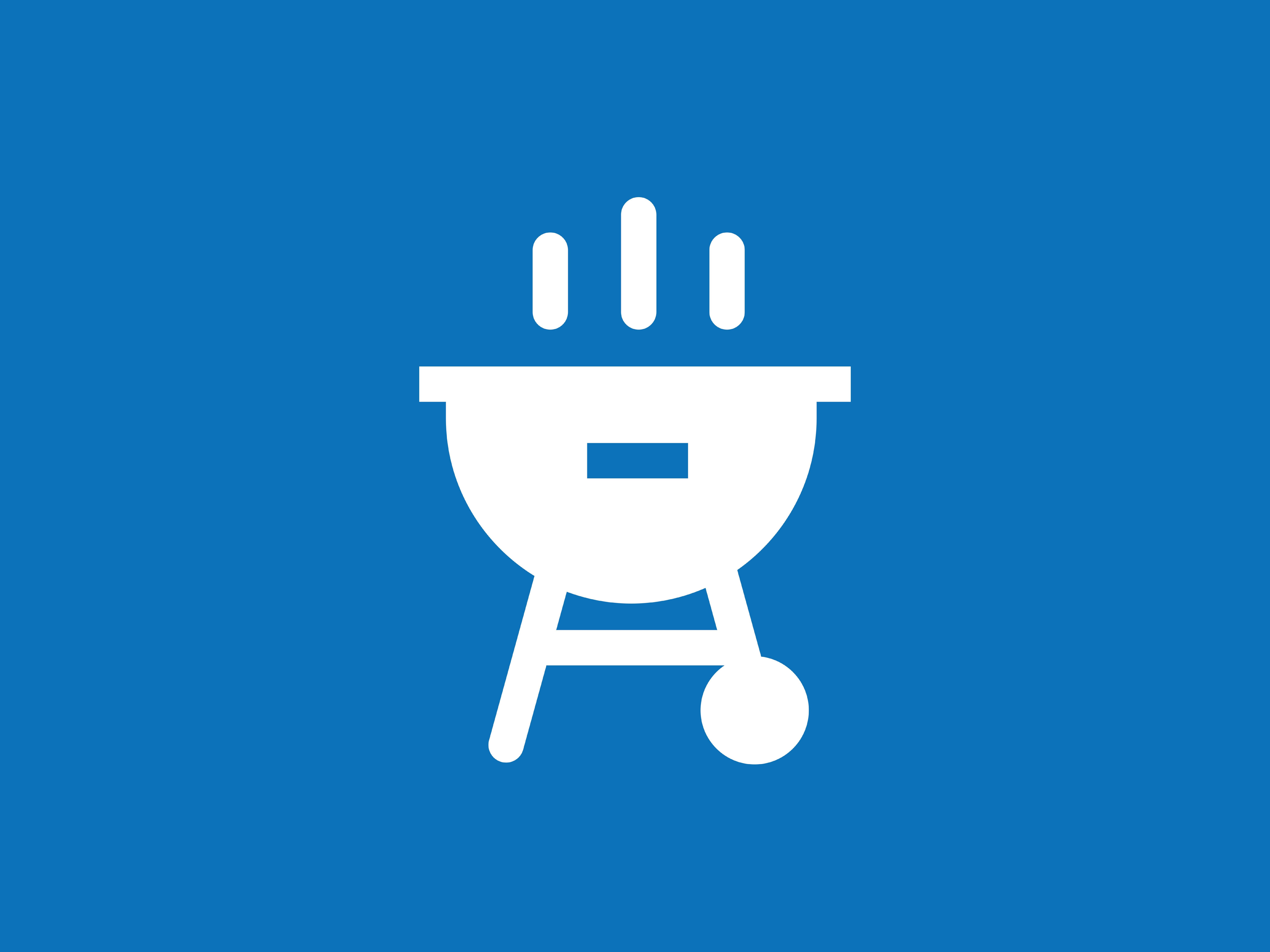 Buckland Playground - BBQ & Picnic Facilities