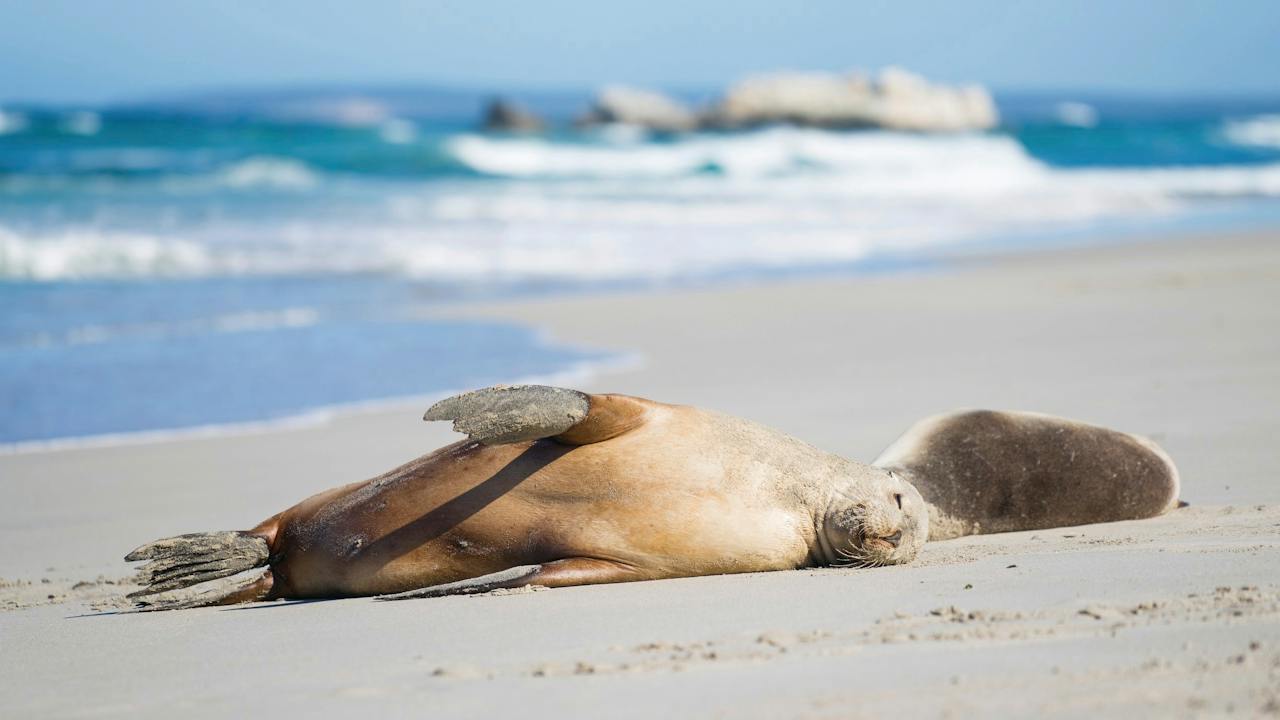 Cape Gantheaume Conservation Park and Wilderness Protection Area