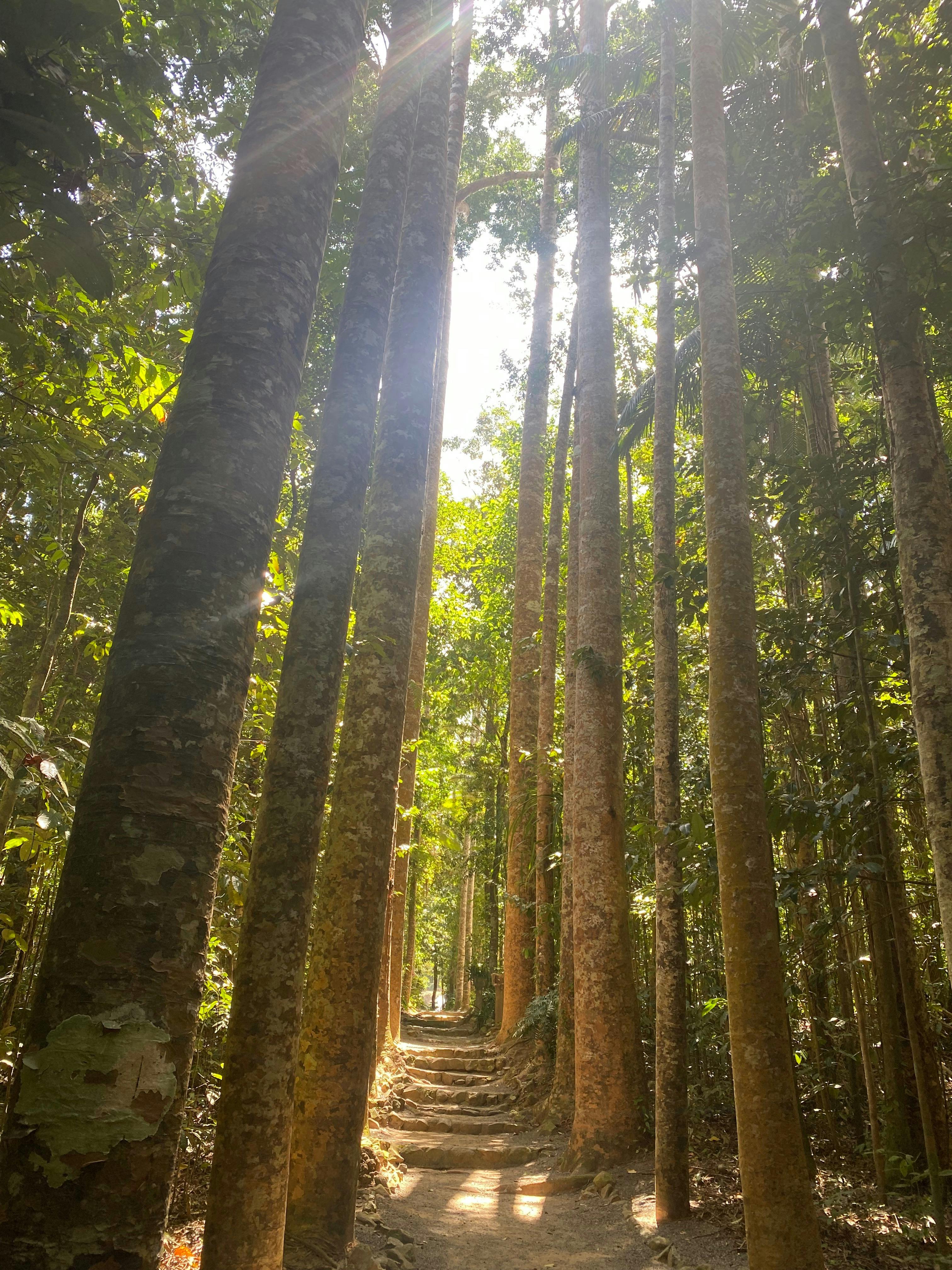 “If you go out in the woods today” ……….