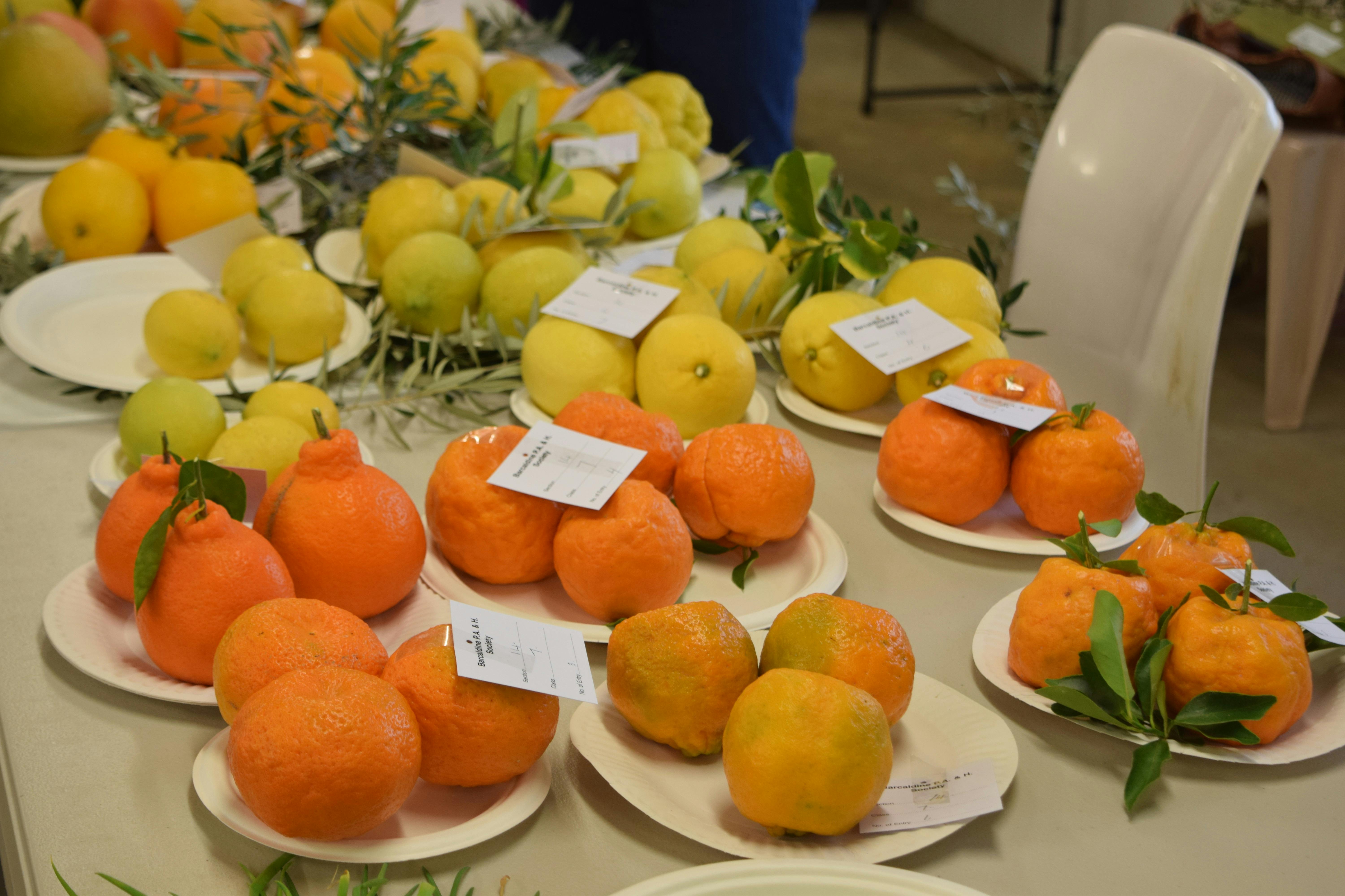 Produce Display