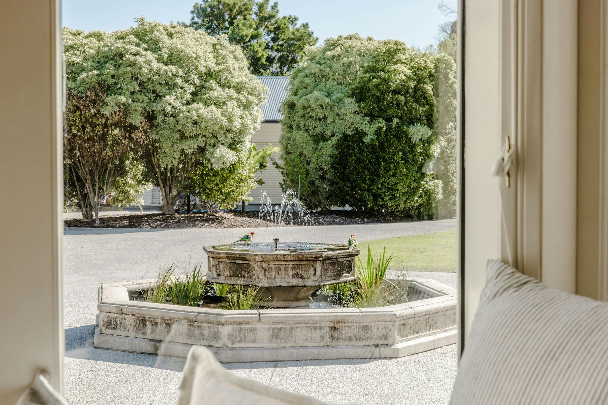 A view of the birds in the driveway fountain, as seen from the second bedroom window