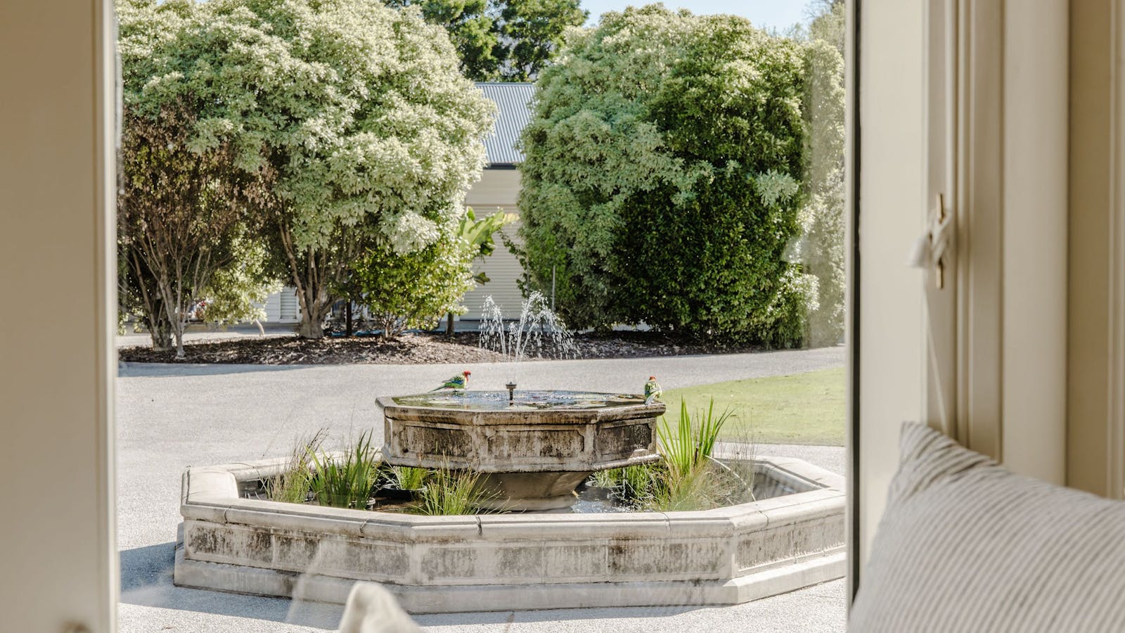A view of the birds in the driveway fountain, as seen from the second bedroom window