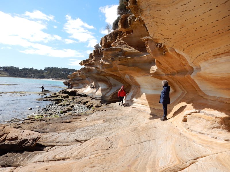 See this on our 4day Maria Island Guided Walk