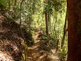 walking track