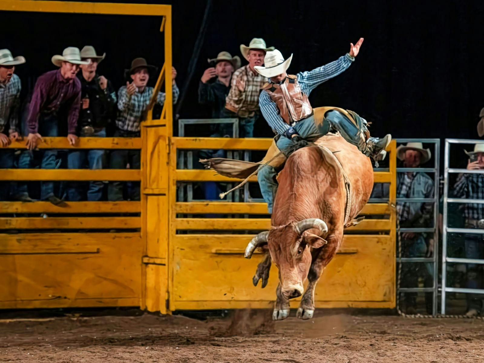 Rodeo 4 Life