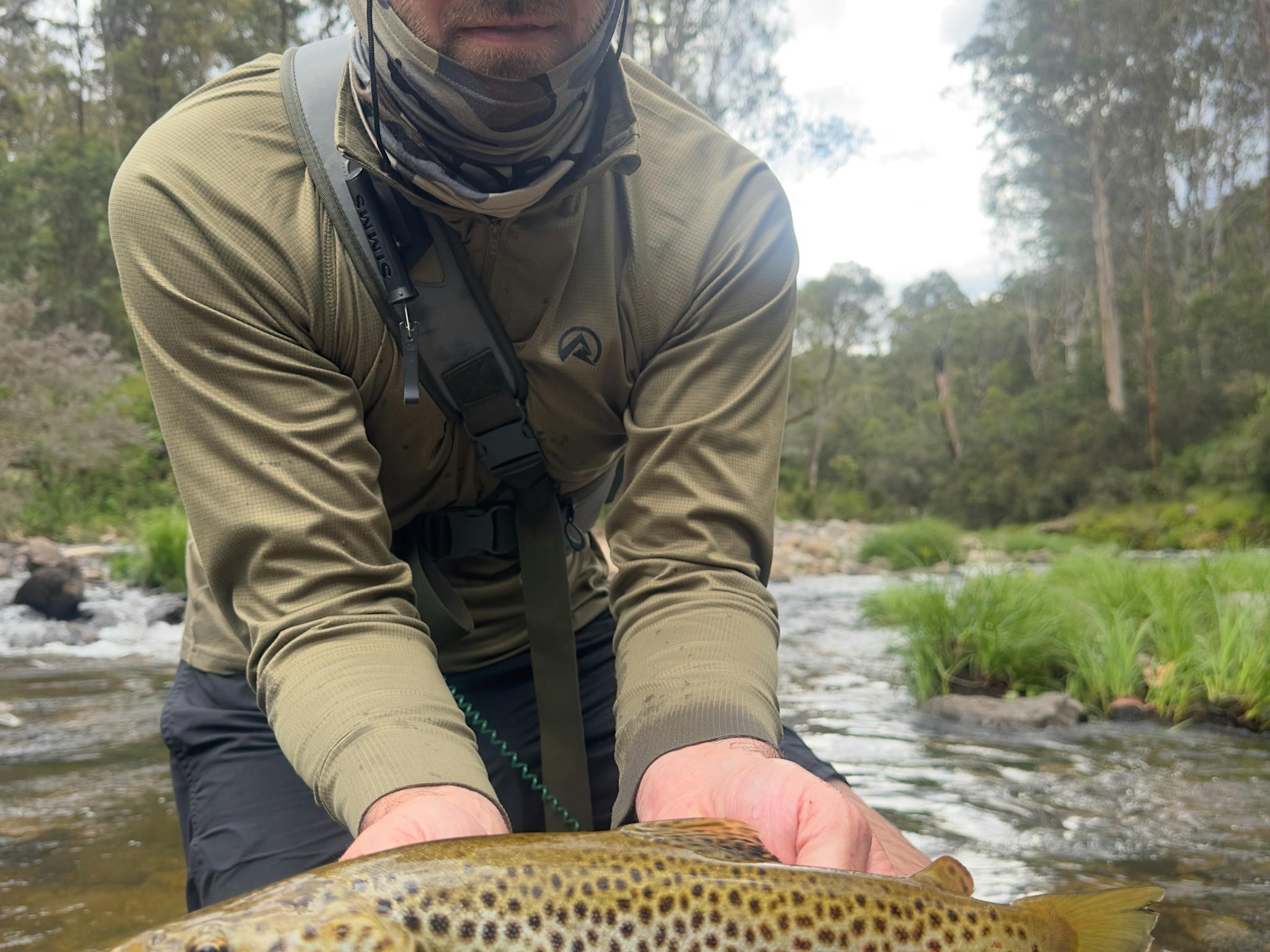 Mansfield Fly Fishing Delatite River