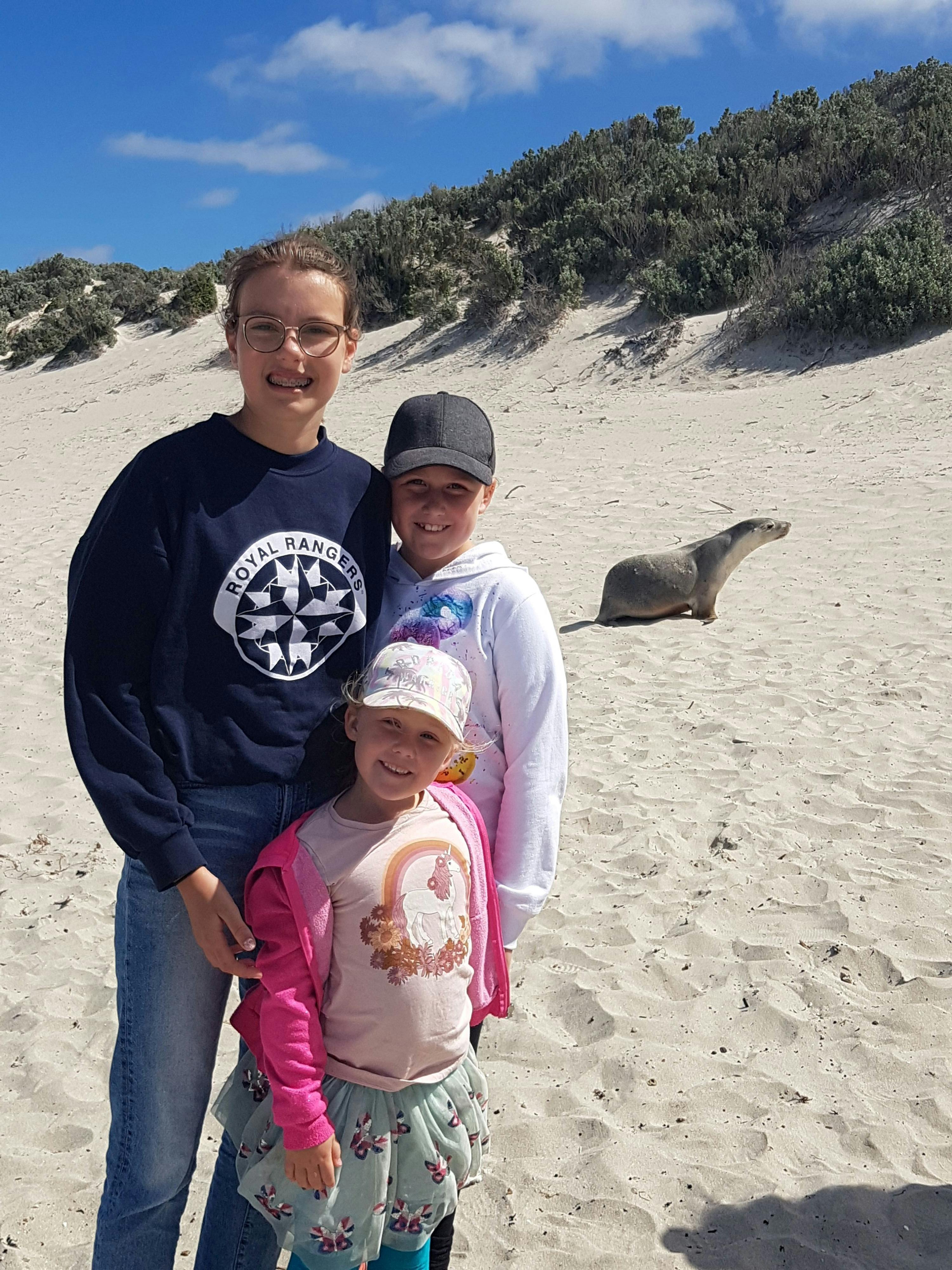 Private Guided Beach Walk at Seal Bay