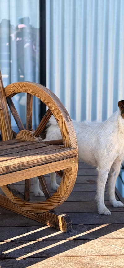 Pet Friendly Accommodation at Stoneleigh Cottage