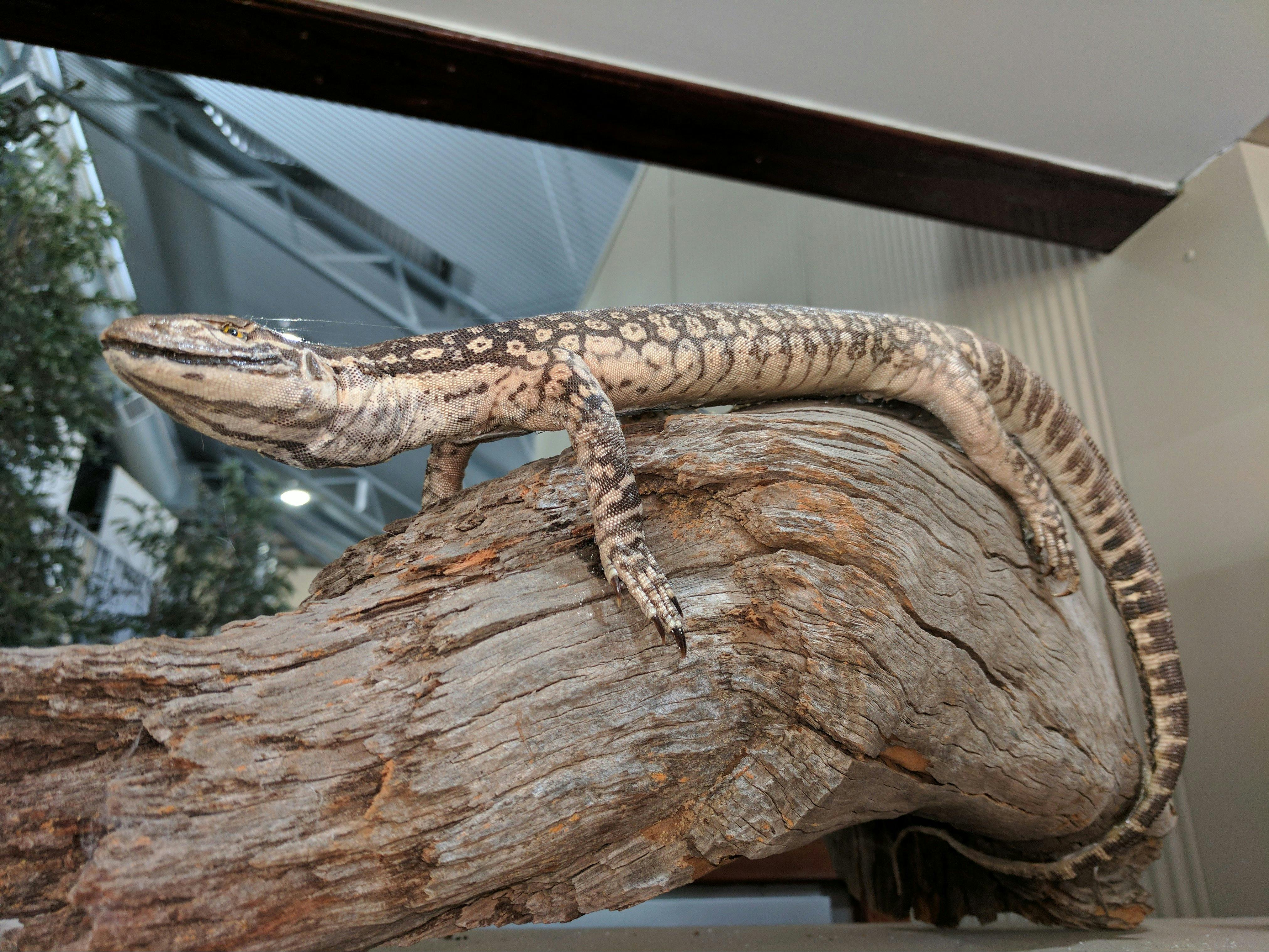 Barmah Forest  Heritage and Education Centre