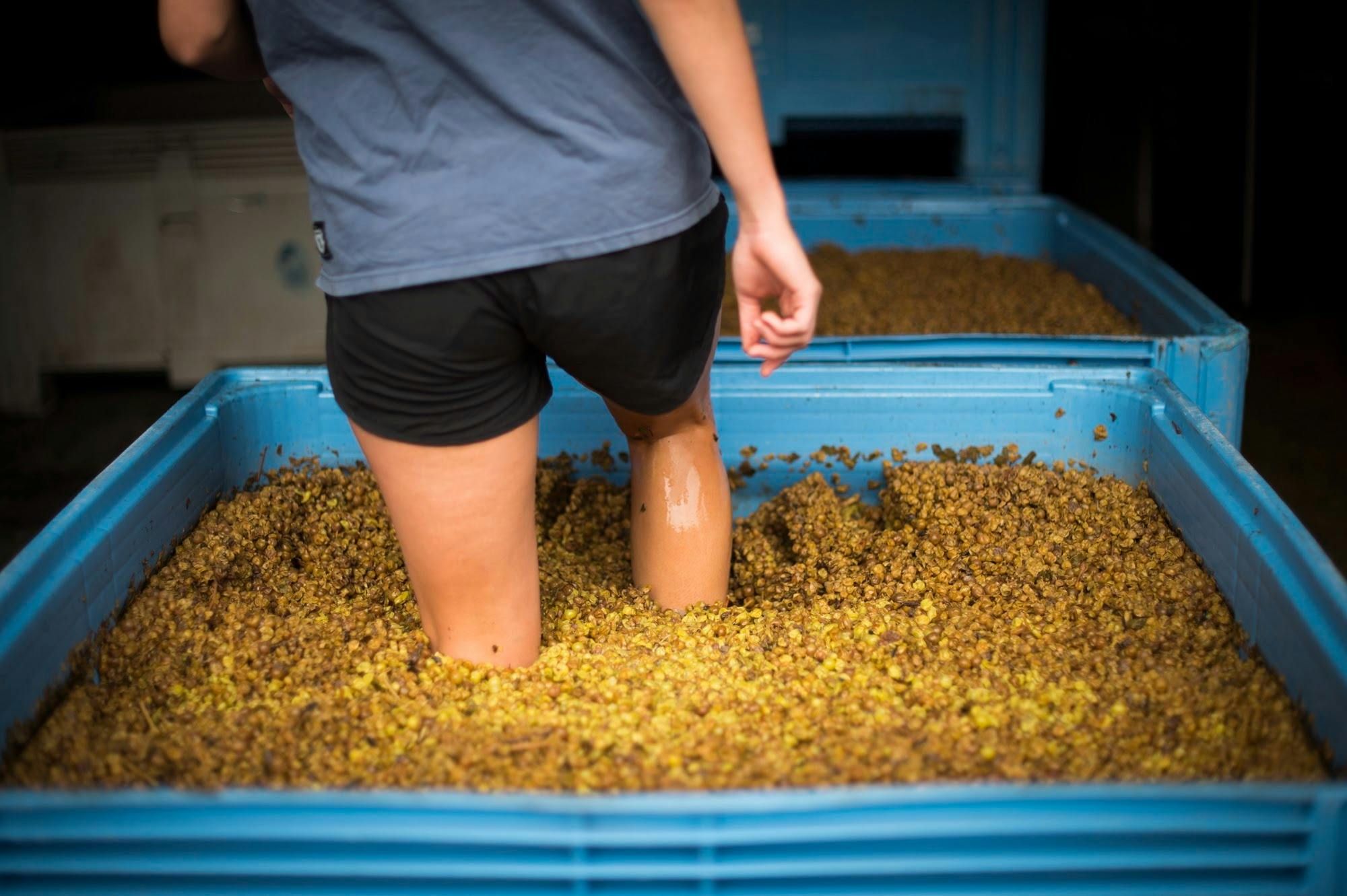 Urban Winery Sydney