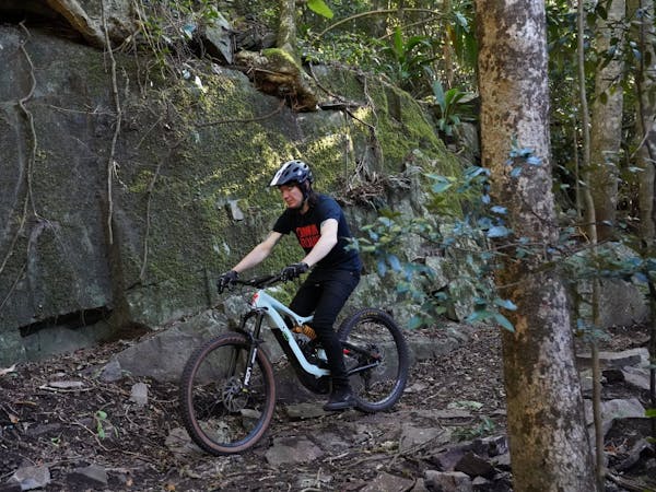 Bunya Mountains Mountain Bike Trails