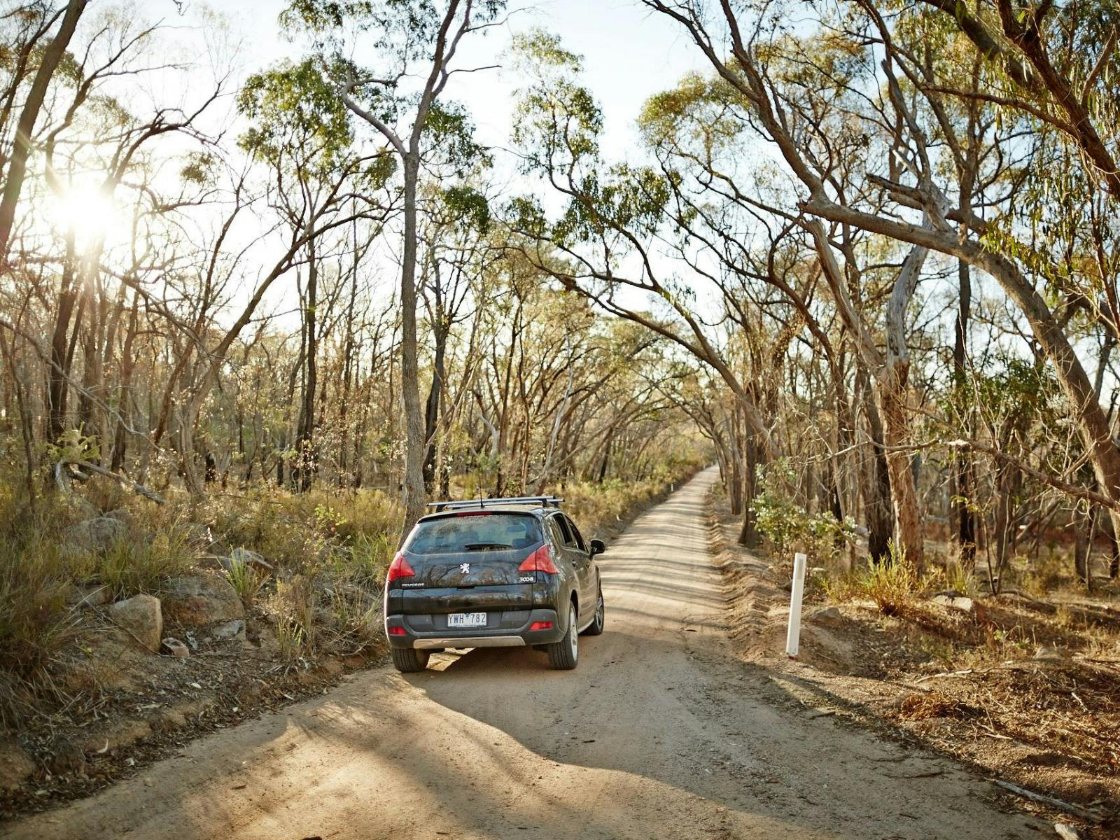 Car on dirt road, bushland trees, native grasses, rocks, sunny day.