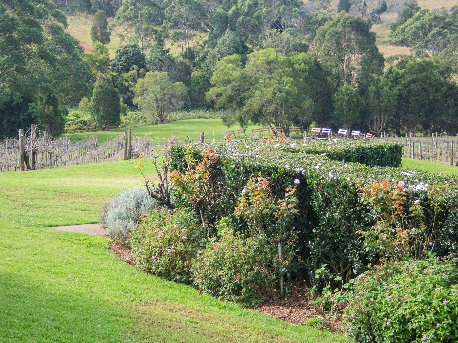 Lunch view at ocean View Estates