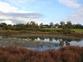 Karkarook Park