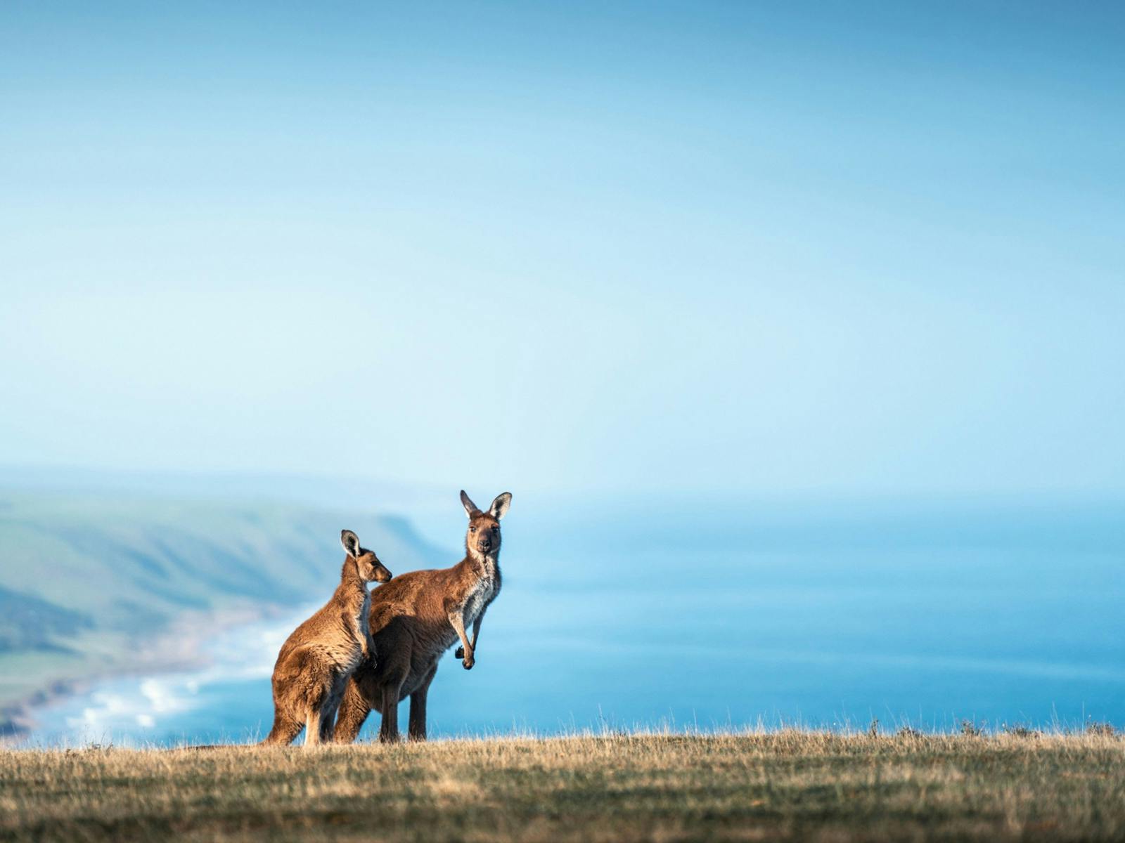 Deep Creek Conservation Park on the Fleurieu Peninsula