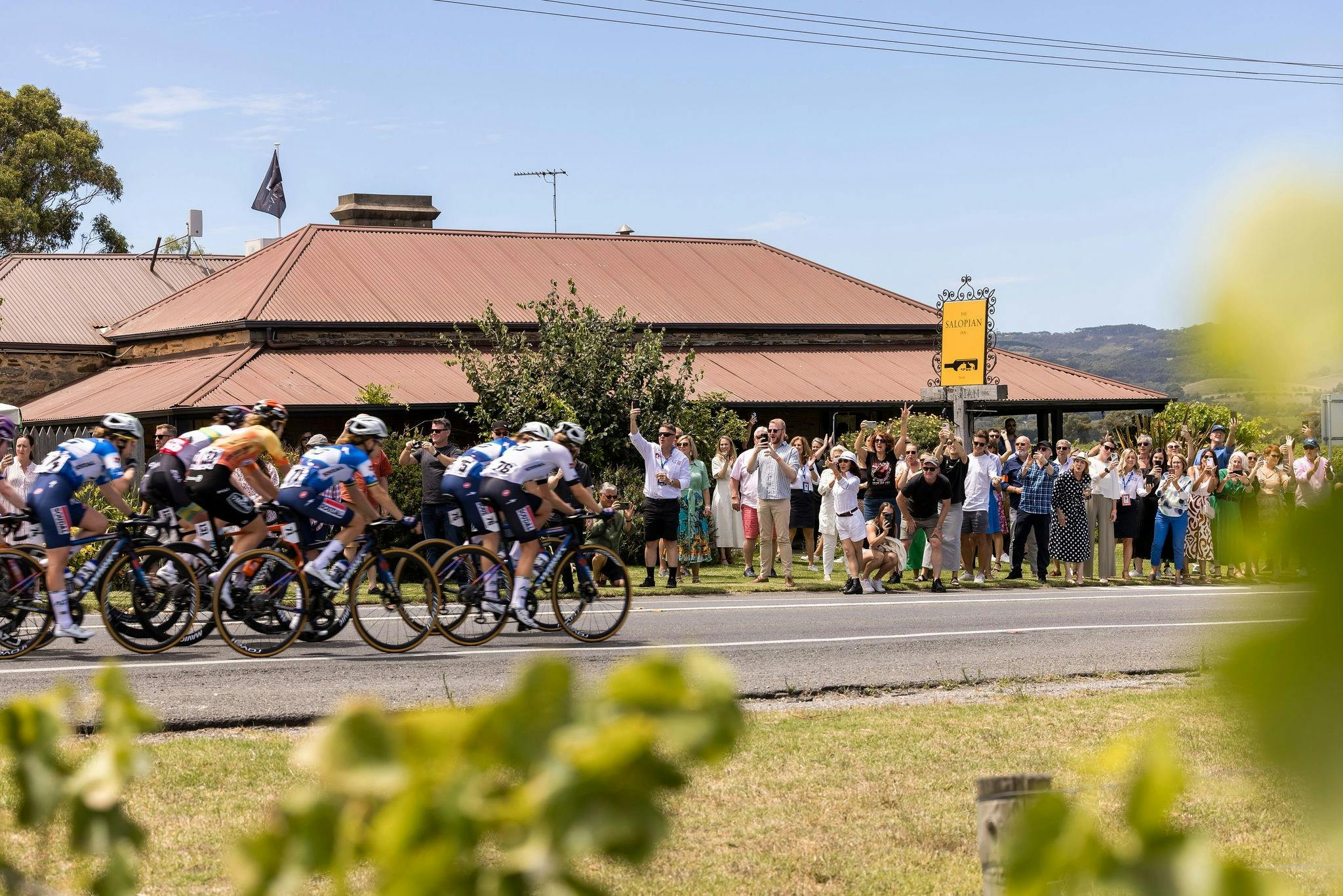 Santos Tour Down Under DeTours: McLaren Vale