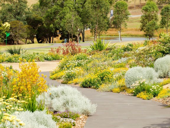 The Australian Botanic Garden Mount Annan