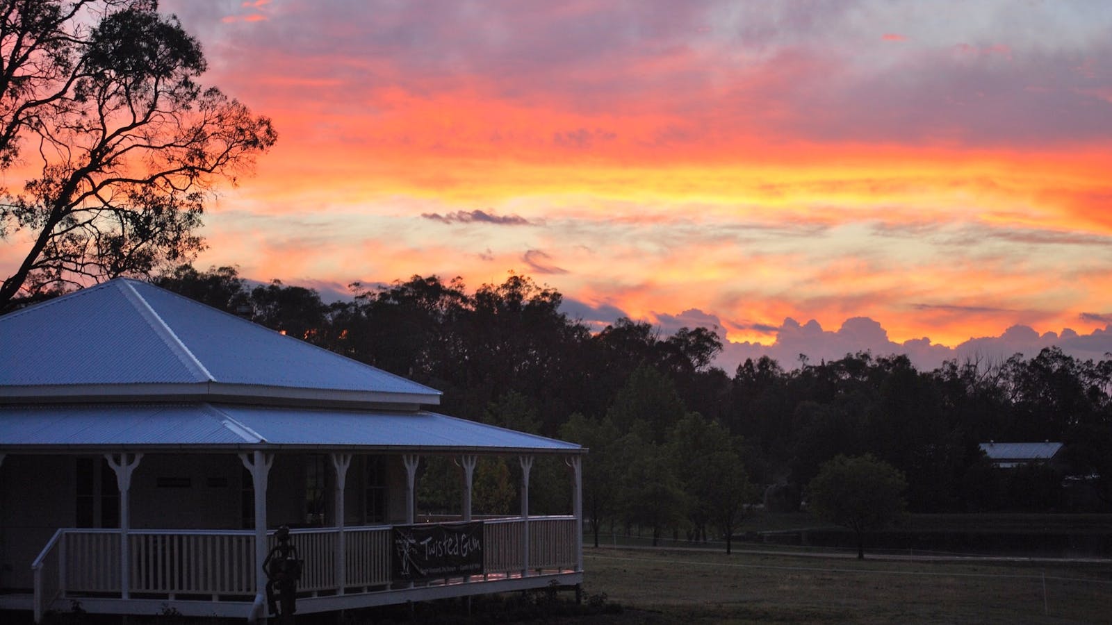 Twisted Gum Wines
