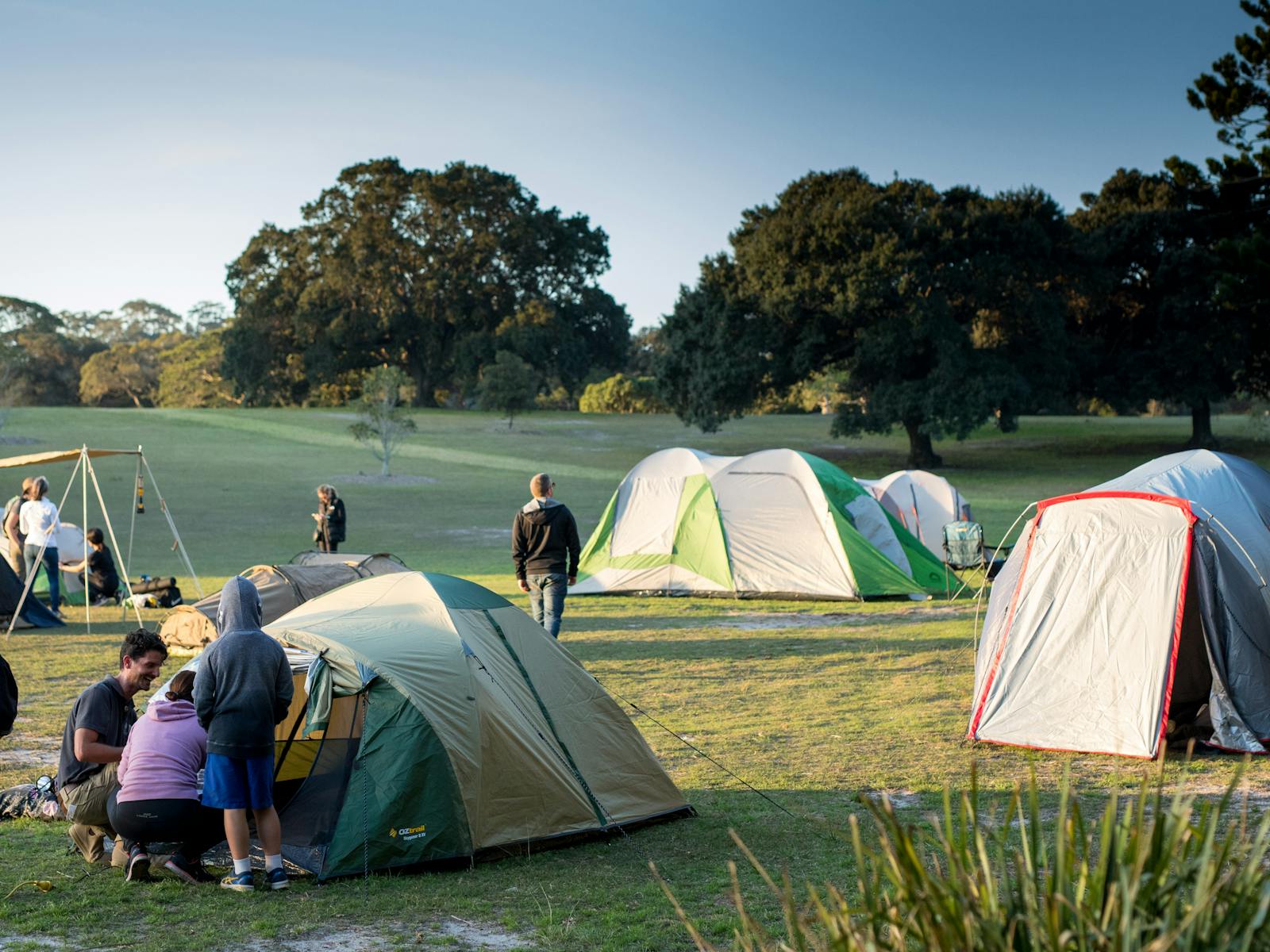 Image for Camping 101