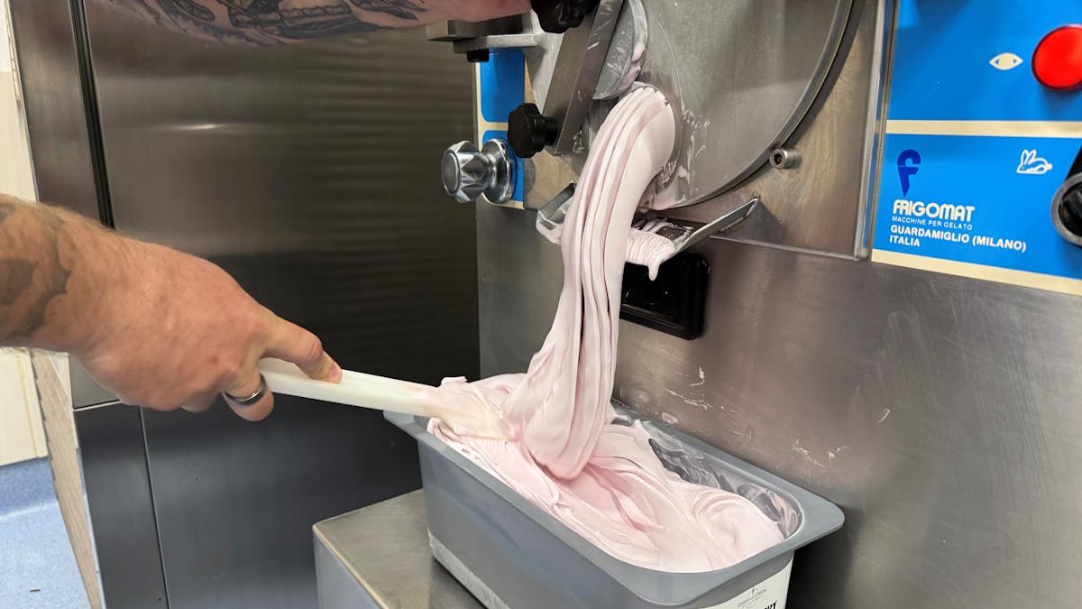 Boysenberry Ice Cream