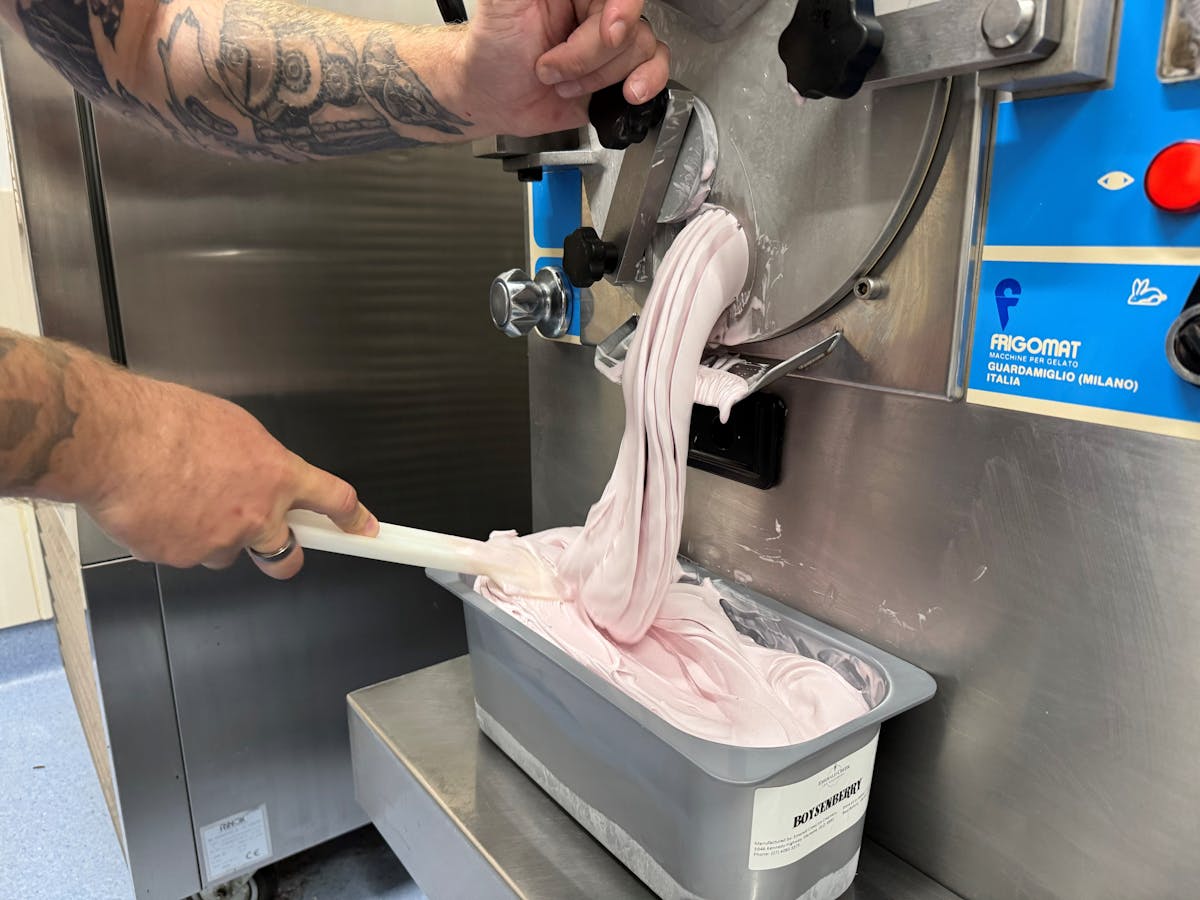 Boysenberry Ice Cream