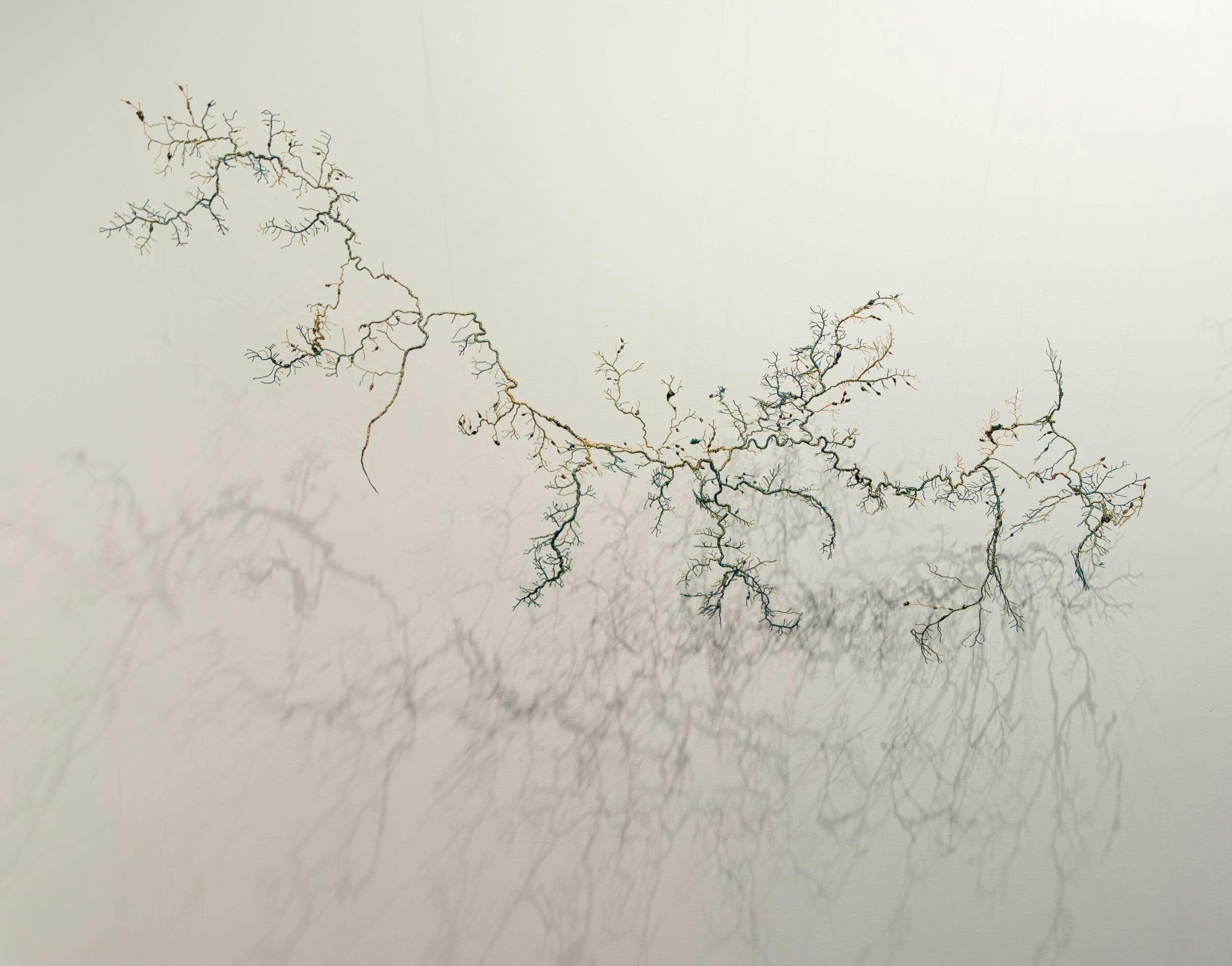 .Artwork by Kathy Landvogt, Larni Barramal Yaluk
