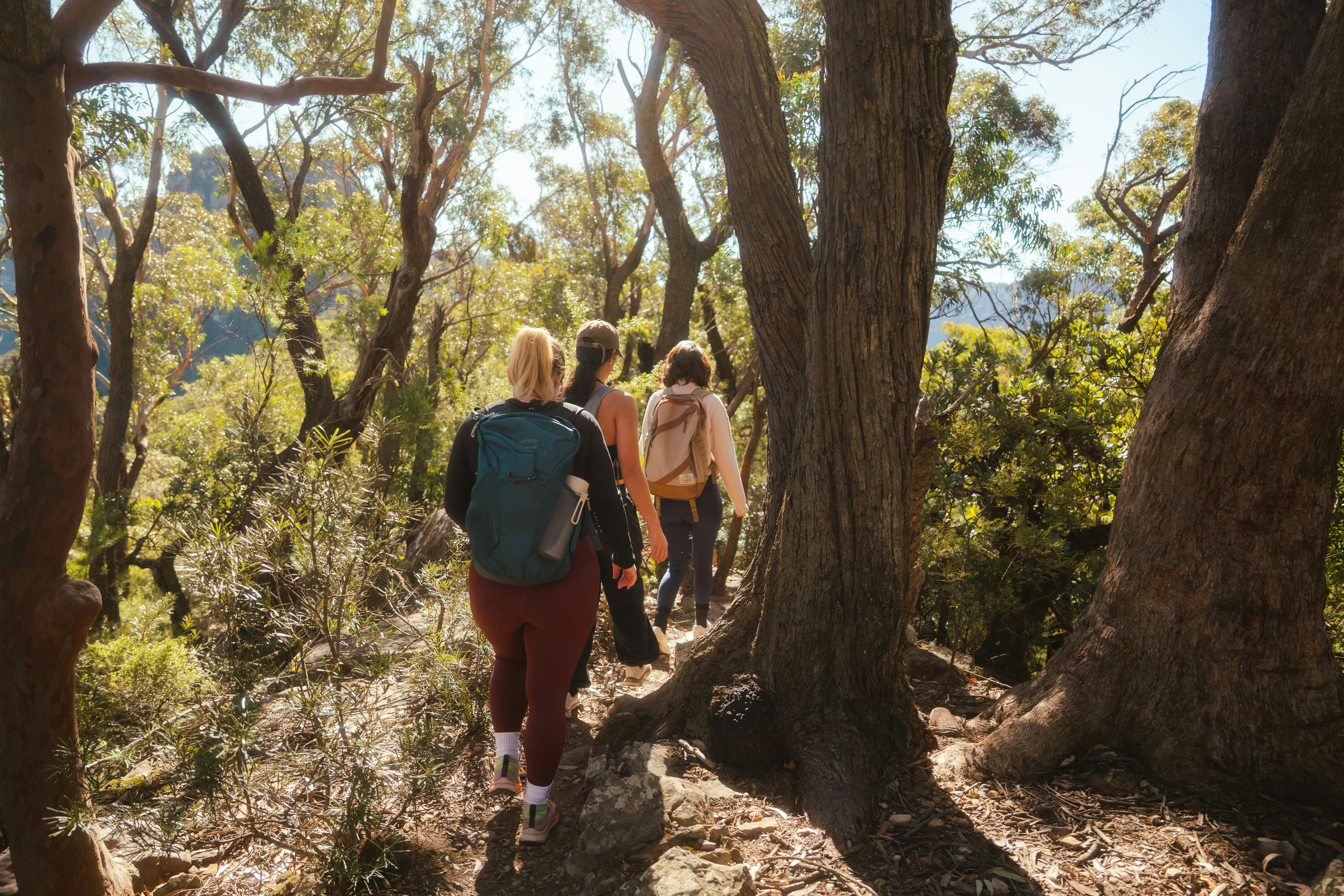 Womens Hiking Group Blue Mountains