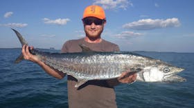 barracuda darwin