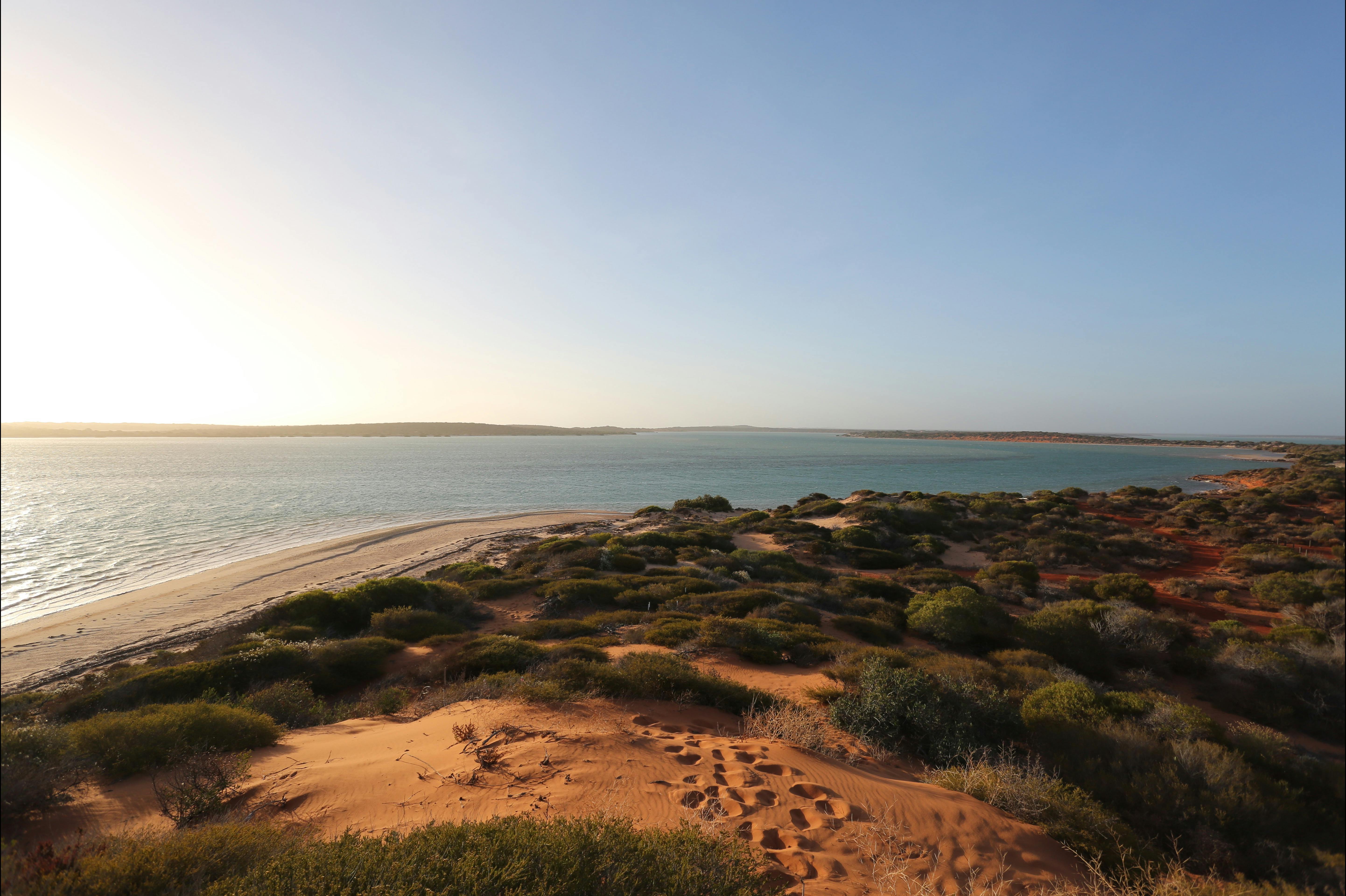 Shark Bay Coastal Tours