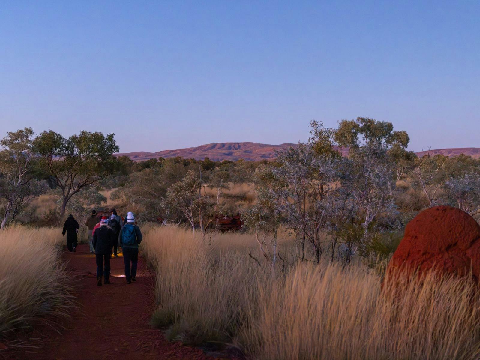 Karijini hikers walking