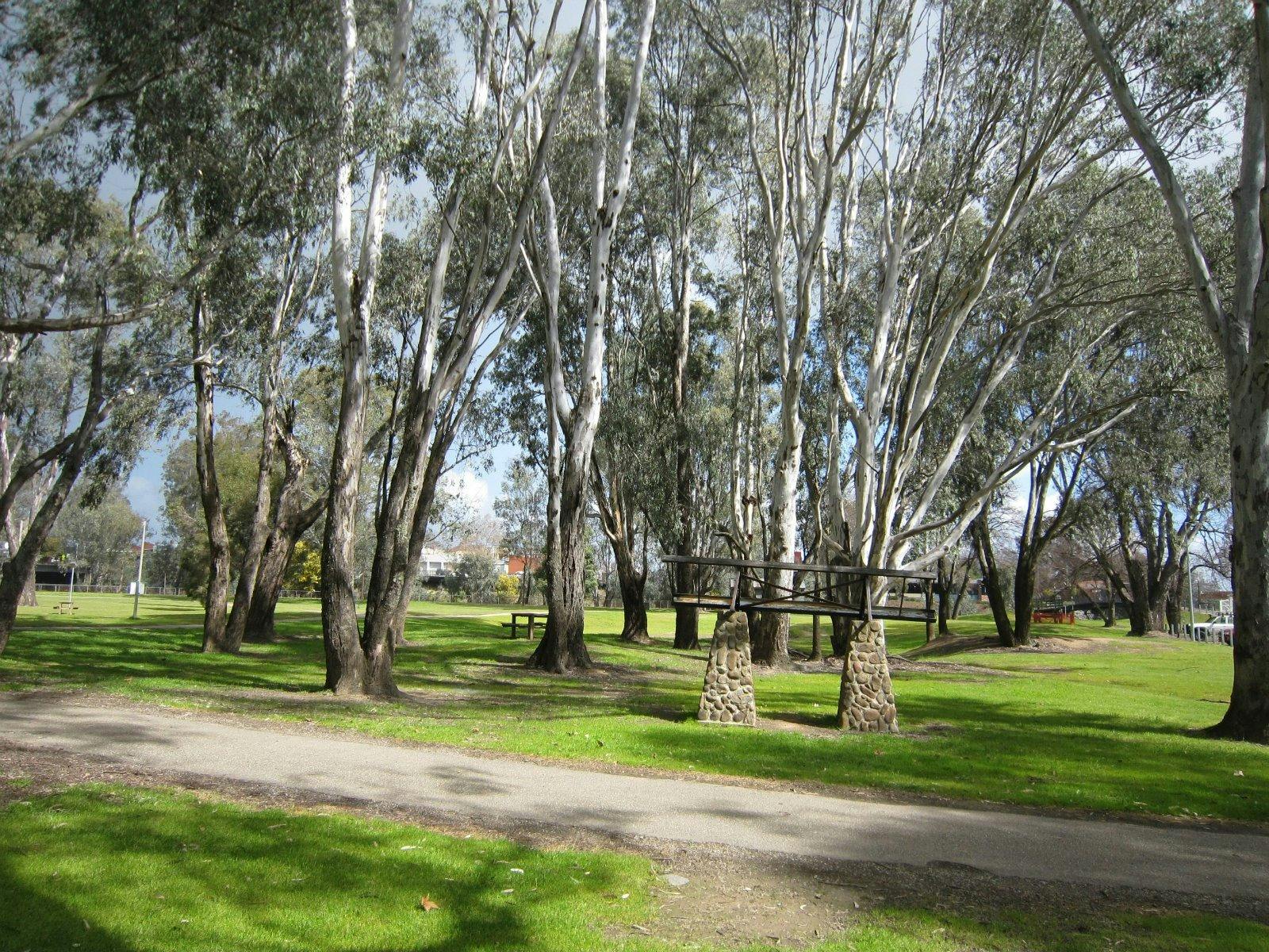 Significant Trees